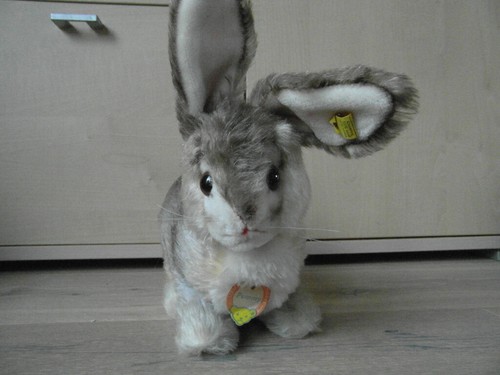 Steiff hase pummy mit - hase,