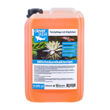 500ml milchsäurebakterien - 6.500ml,