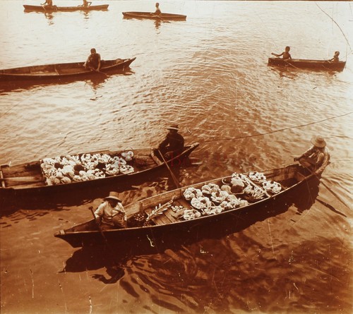 Vietnam annam fischer von - vietnam,
