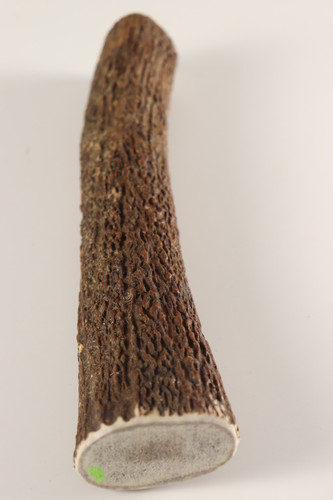 Geweih hirschhornstück horn - geweih,