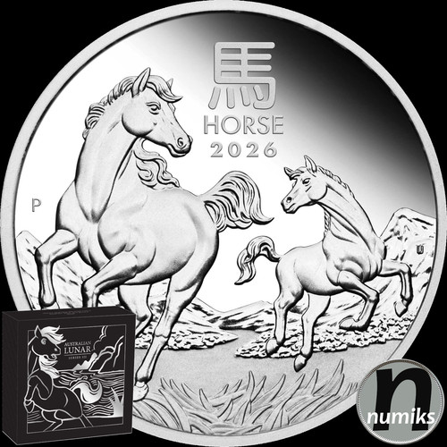 Pferd horse australien 2026 - horse,