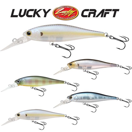 Lucky craft pointer 65dd - 65dd, |