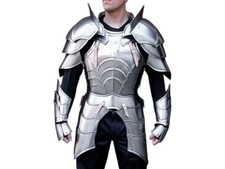 Mittelalter Ritter Ganzkörper