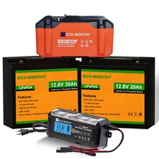12V 20Ah 30Ah Lithium Batterie LiFePO4 Akku mit 5A Ladegerät BMS Camping
