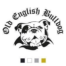 Old English Bulldog Aufkleber