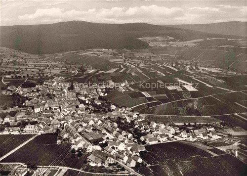 Hallgarten rheingau - hallgarten,