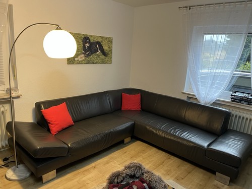 Ledercouch schillig form - ledercouch, w.schillig