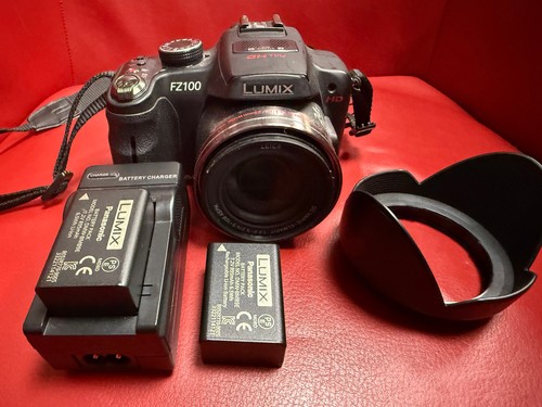 Panasonic lumix dmc fz100 - panasonic,