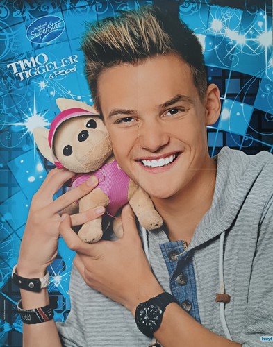 Timo tiggeler poster - timo,