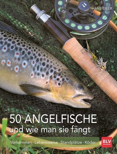 Angelfische und wie - 50, man