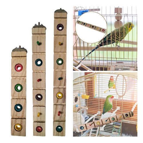 Vögel papagei kauspielzeug - papagei,