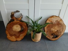 Hohle Apfelbaum Baumscheibe