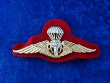 A29-36) Badge