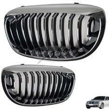 Design Kühlergrill Niere