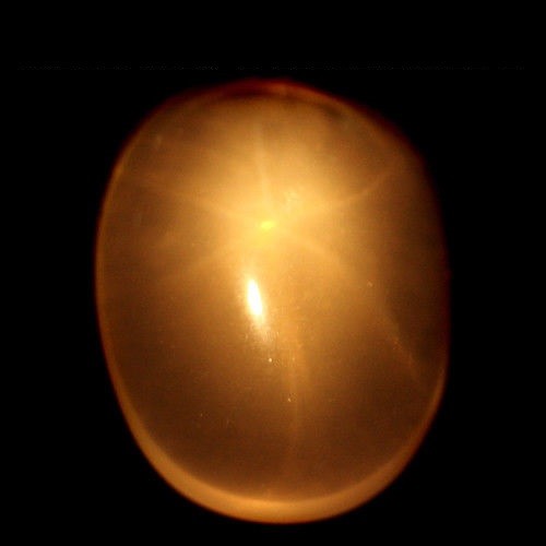 Shola echt ct - echt, 51,76
