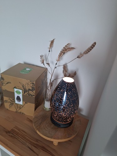 Scentsy reflect - scentsy,
