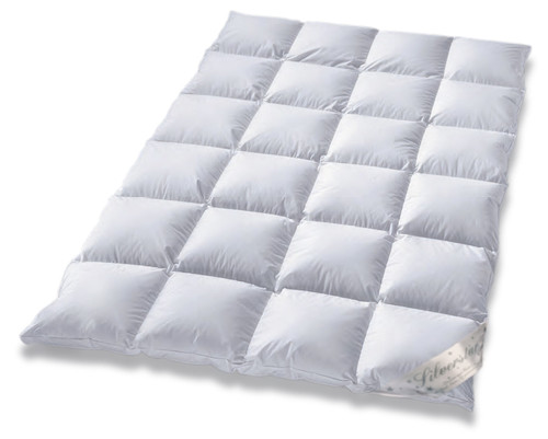 Typ eiderdaune silverstar sehr - typ,
