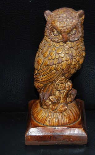 Kleine eule aus - aus, vogel