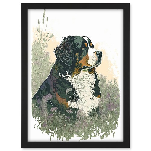 Berner sennenhund - berner, im