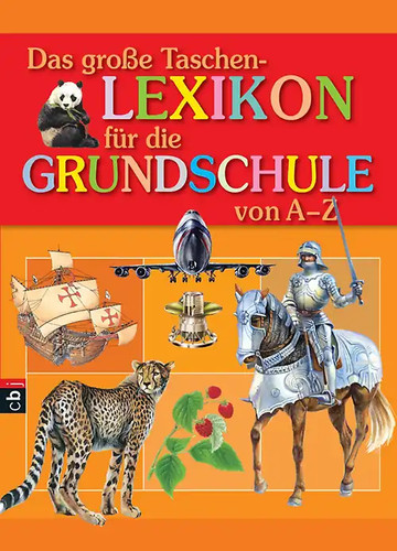 Das große taschenlexikon - große,