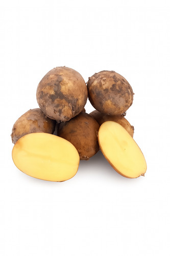Finka premium kartoffeln - premium-kartoffeln, aus