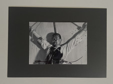 Hermann nitsch blutige - hermann, "blutige