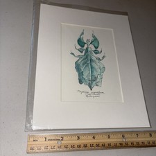 8 x 10” Matted Print