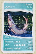 Ozeanien 10 Faszinierende