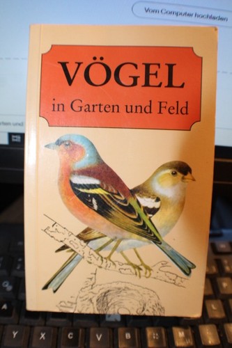 Vögel garten und feld - in,