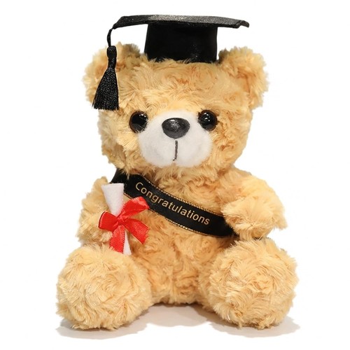Abschluss teddybär 18cm - teddybär,