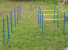 Hunde Agility Set B - Training