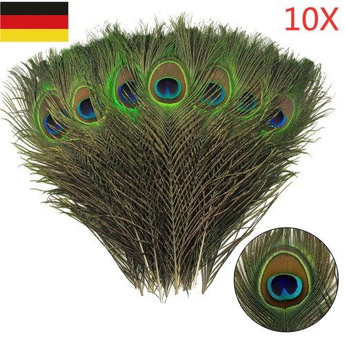 10x natürliche pfauenfedern - 10x,