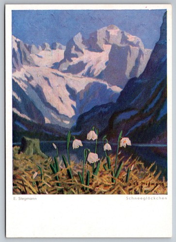Erich stegmann - erich,