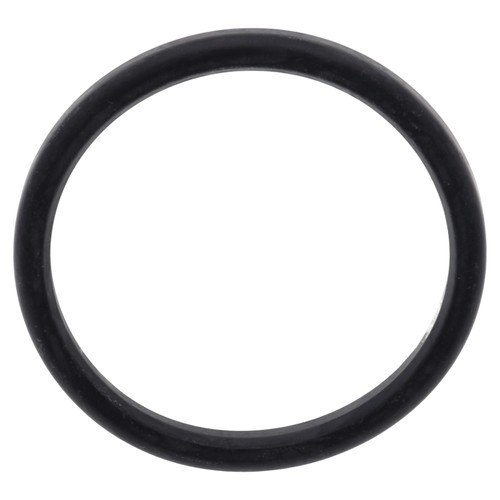 Pavoni gasket undercup - la,