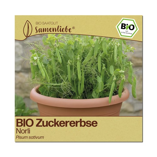 Bio erbsen samen sorte - erbsen,