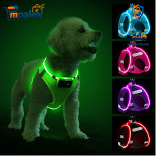 LED Hundegeschirr leuchtend