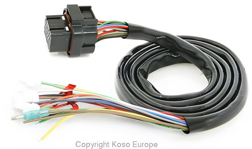 Kabelbaum koso rx2n - koso,