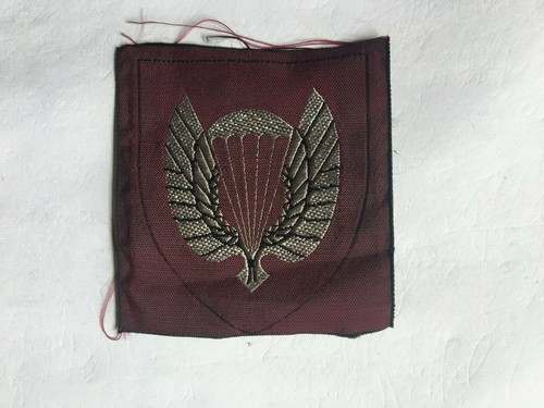Norwegen army abzeichen - !,