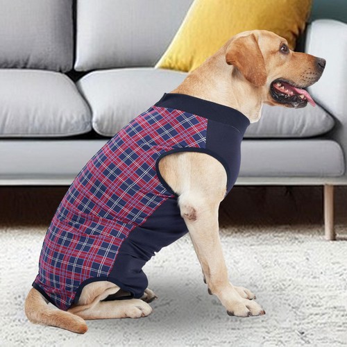 Hunde-Erholungsanzug