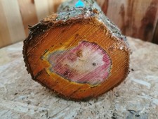 Pflaume Drechselholz 25×11,5