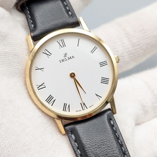 Vintage delma men watch - vintage, men’s