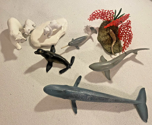 Schleich arktische meerestiere - arktische,