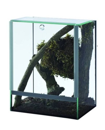 Reptiles planet aquavie - reptiles,