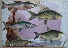 Deko HDF - Tiere Natur maritim Fische angeln Teich See