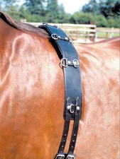 Longiergurt Leder 12 Ring, schwarz  Lederlongiergurt  Pferd longieren