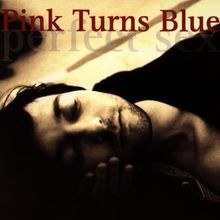 Perfect Sex von Pink Turns Blue | CD | Zustand sehr gut