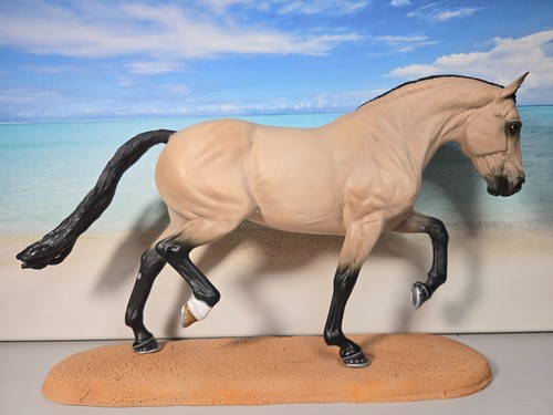 Obrigado lusitano hengst - obrigado,