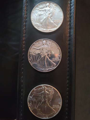 American eagle dollar silber - dollar,
