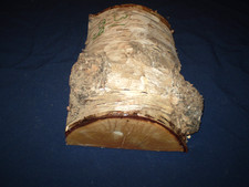 Birke  Holz   Drechselholz