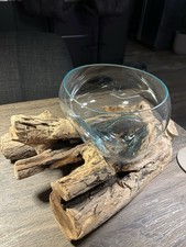 Glasschale auf Teakwurzel